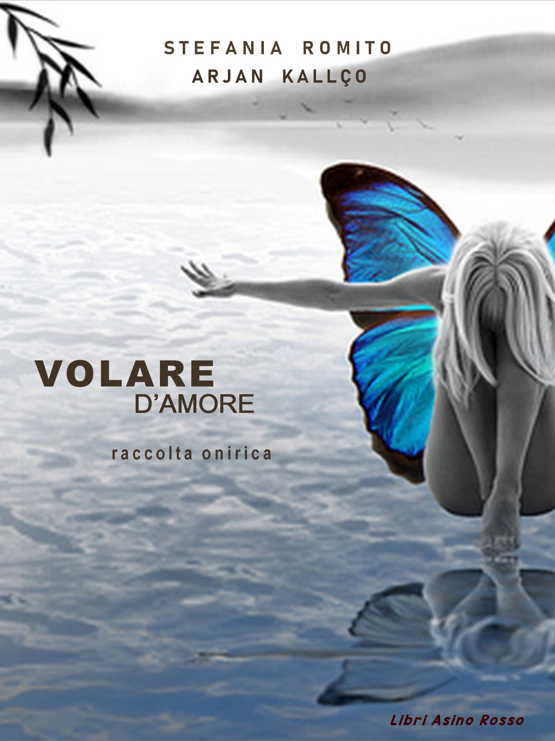 Copertina Volare d'amore